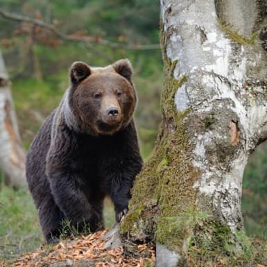 Bearish positioning increases the risk of a market rebound